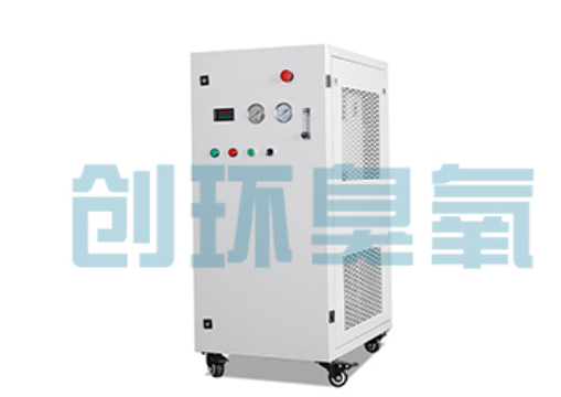 福州石斑鱼养殖水质调控完整指南：臭氧发生器配置与操作步骤