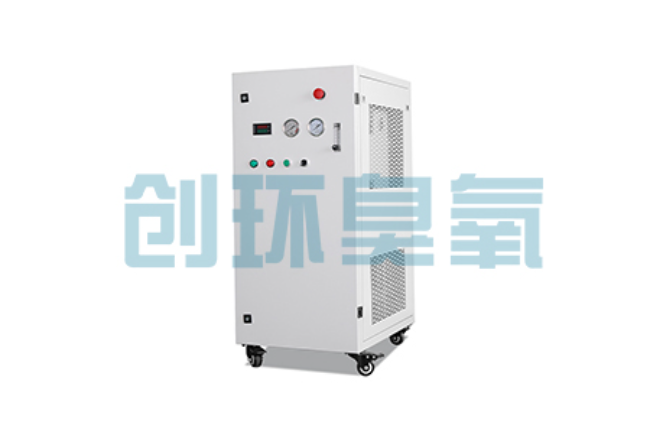 福州比传统换水更高效？臭氧发生器在石斑鱼养殖中的水质净化原理解析