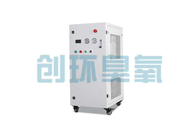 福州比传统换水更高效?臭氧发生器在石斑鱼养殖中的水质净化原理解析